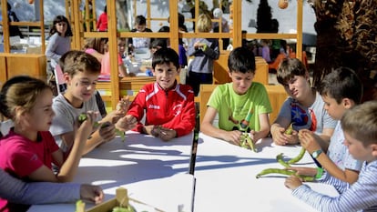 Alumnos del colegio Cervantes de Alboraia (Valencia), en el huerto escolar.