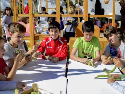 Alumnos del colegio Cervantes de Alboraia (Valencia), en el huerto escolar.