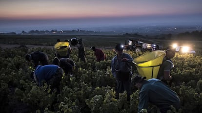 Cerca de 13.000 temporeros españoles trabajarán en la vendimia francesa por 2.156 euros brutos al mes