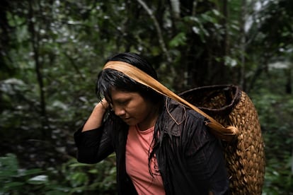 Gisele Xianam Zoró recolecta castañas de Brasil, el 12 de enero de 2020, en Juruena (Brasil).