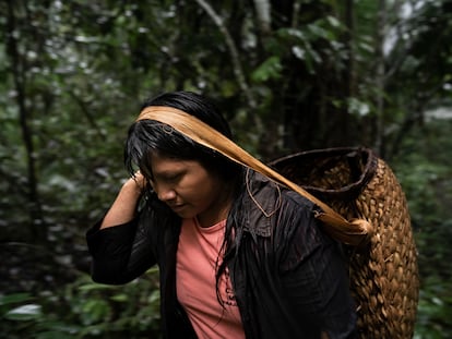 Gisele Xianam Zoró recolecta castañas de Brasil, el 12 de enero de 2020, en Juruena (Brasil).