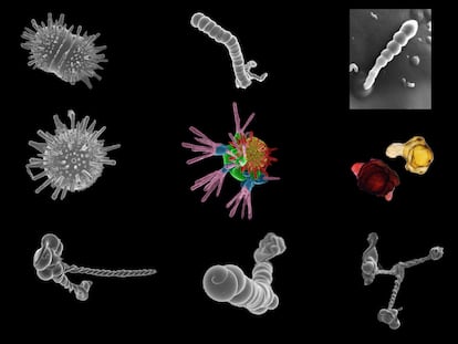 Self-assembled mineral structures, called biomorphs.