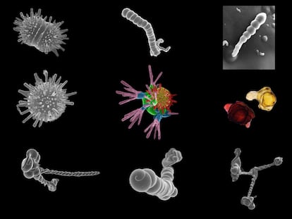 Estructuras minerales autoorganizadas, denominadas biomorfos, que nada tienen que ver con los seres vivos.