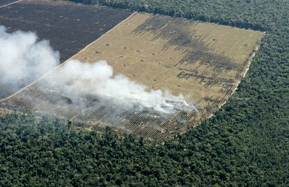 Desmatamento no Mato Grosso para preparar terra para o cultivo.