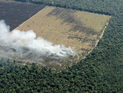 Desmatamento no Mato Grosso para preparar terra para o cultivo.