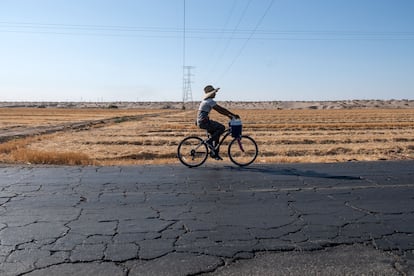Un trabajador agrícola va en bicicleta a un campo a las afueras de San Luis Río Colorado (Sonora).