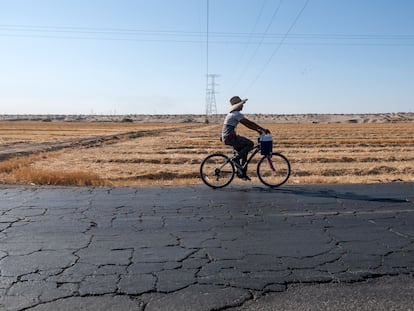 Un trabajador agrícola va en bicicleta a un campo a las afueras de San Luis Río Colorado (Sonora).