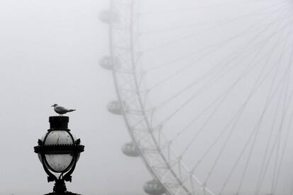 A seagull sits on top of a lamp post, in front of the London Eye, during a foggy morning in central London, Britain November 1, 2016. REUTERS/Stefan Wermuth