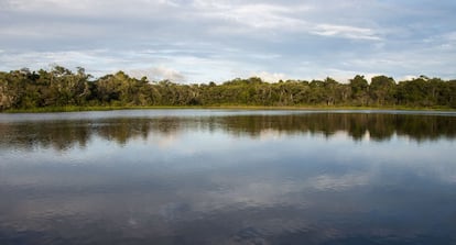 La laguna de Jatuncocha, que en kichwa significa laguna grande, es uno de los grandes atractivos del Parque Nacional Yasuní. Su grandeza yace en su belleza, la biodiversidad que habita en sus entrañas y en su majestuosidad. 