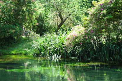 Jardín de Ninfa en Italia.