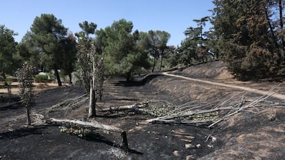 Aspecto tras el incendio de la Dehesa de la Villa.