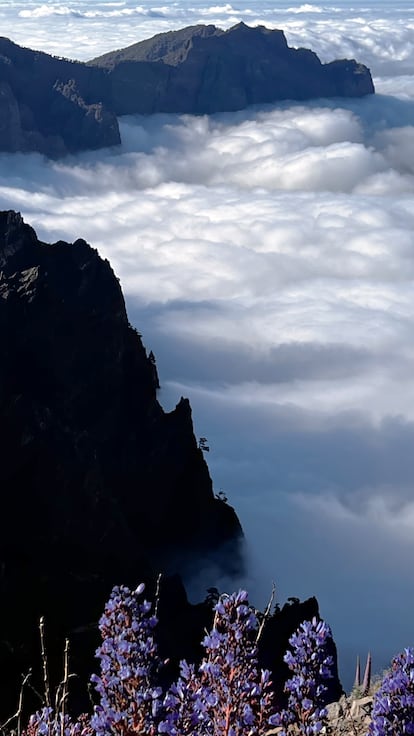 Mar de nubes en la Caldera de Taburiente, en la ruta de El Bastón (GR 131).