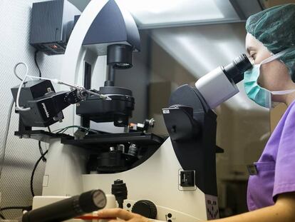 Una bióloga observa un embrión por el microscopio en el laboratorio médico del Instituto Cefer de Barcelona, clínica especializada en reproducción asistida.