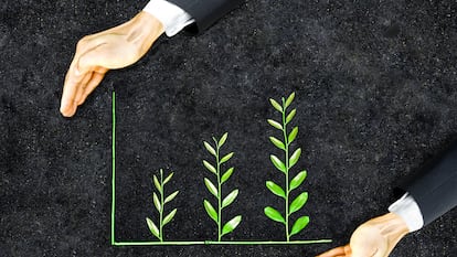 La sostenibilidad, estrategia rentable para las empresas