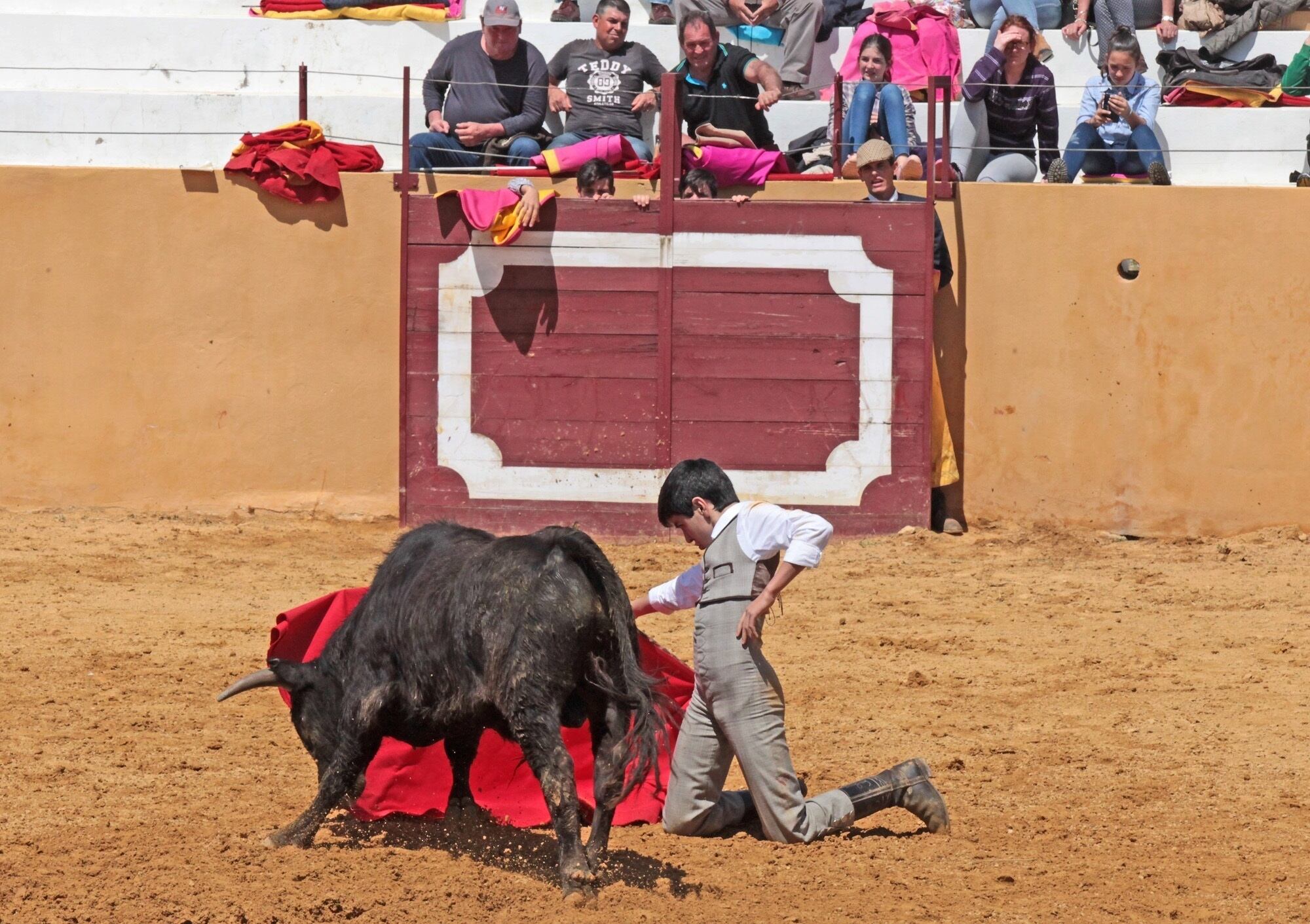 Polémica por la creación de un palco infantil en la Feria de San Juan de Badajoz para acercar la tauromaquia a los menores