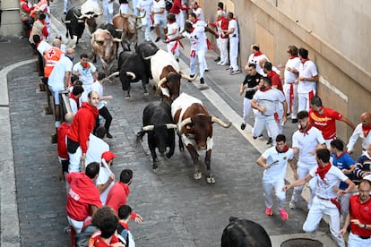Los toros de la ganadería Victoriano del Río a su paso por la Cuesta de Santo Domingo.
