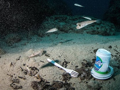 Peces nadando alrededor de desechos plásticos en las costas de Samandag, cerca de Turquía.