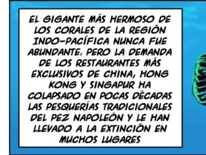 Ramón
