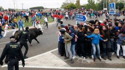 Protesters at Toro de la Vega 2015.