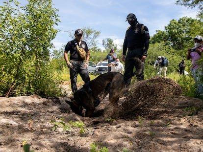 El equipo de búsqueda sigue el rastro del desaparecido Vicente Suástegui este jueves 2 de septiembre de 2021, en los alrededores del poblado de El Arenal (Guerrero).