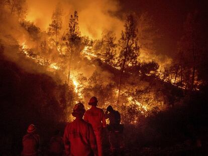 Bomberos frente al incendio múltiple de Mendocino, en Ladoga, California, el pasado martes.