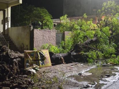 Un árbol tumbado por el viento en la fuerte tormenta de anoche en Agra, en el Estado indio de Uttar Pradesh.