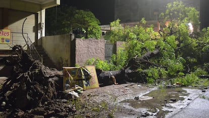 Un árbol tumbado por el viento en la fuerte tormenta de anoche en Agra, en el Estado indio de Uttar Pradesh.