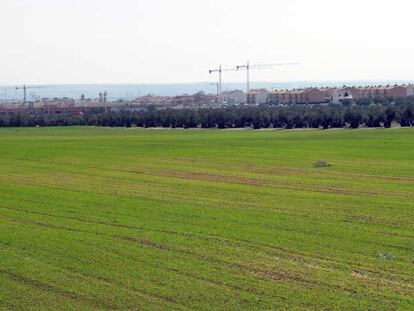 Terreno protegido en el que se planea construir parte de las 20.000 viviendas en Illescas.