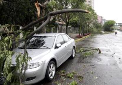 Daños causados ayer por el tifón Soulik a su paso por  Taipei, Taiwán.