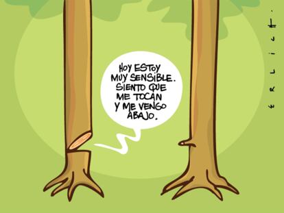 ERLICH