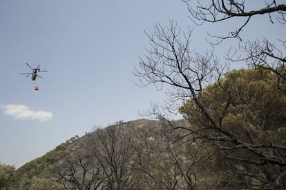 Efectivos del Plan Infoca trabajan en la extinción de un incendio declarado esta tarde en el término municipal de Nerva (Huelva).