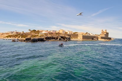 A veces, para descubrir paisajes de ensueño, no hace falta viajar a países remotos. Basta con tomar un barco en la cercana Santa Pola (Alicante) y navegar en ferri (50 minutos) hasta Tabarca, la única isla habitada (alrededor de 50 personas) de la Comunidad Valenciana y, sin duda, un lugar donde perderse. Declarado Conjunto Histórico- Artístico y Reserva Marina, esta isla de casas blancas sorprende tanto por su belleza como por sus dimensiones. Hay unas murallas con interesantes puertas, varias iglesias, un faro y un agradable casco antiguo. En sus poco más de 30 hectáreas, concentra historia, cultura y aguas cristalinas donde bañarse y bucear. Se recomienda probar su tradicional caldero tabarquino, un guiso que mezcla pescados y arroz con salsa alioli.