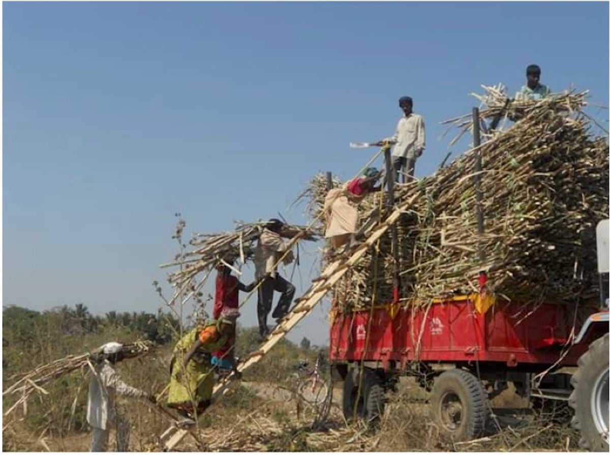West indian wedding - Etsy México, image size:1200x895