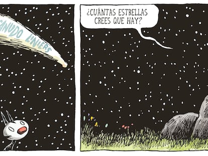 ¿Cuántas estrellas crees que hay?