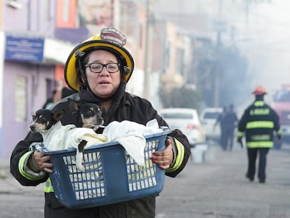 MEX7348. AGUASCALIENTES(MÉXICO), 20/10/2022.- Una mujer del cuerpo de Bomberos traslada unos perros en el lugar donde un tren embistió un carro tanque cargado con gasolina en la ciudad de Aguascalientes (México). Un tren embistió este jueves a una pipa (carro tanque) de una empresa privada luego de que el camión cisterna intentó ganarle el paso, en un cruce vehicular y de ferrocarril en la ciudad de Aguascalientes, capital del estado del mismo nombre, centro del país. EFE/ Sebastián López
