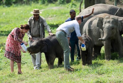 Los duques de Cambridge alimentan a dos elefantes bebés durante su visita al centro de rehabilitación salvaje y para la conservación en el parque Nacional Kaziranga en India.