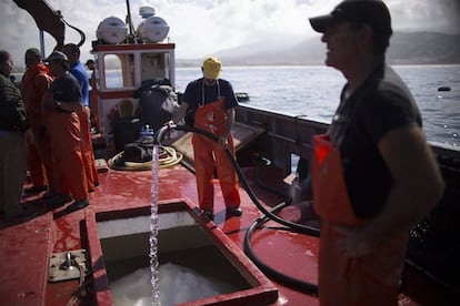 Un pescador echa agua sobre el hielo que hay en la bodega a la espera de empezar a llenarla con los atunes capturados.