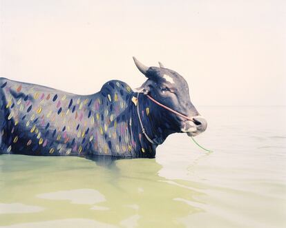 <i>Tomando un baño</i>. Jaffna, Sri Lanka, 2018. Pintada a mano por Vasantha Yogananthan.