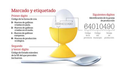 Sistema de clasificación de los huevos.