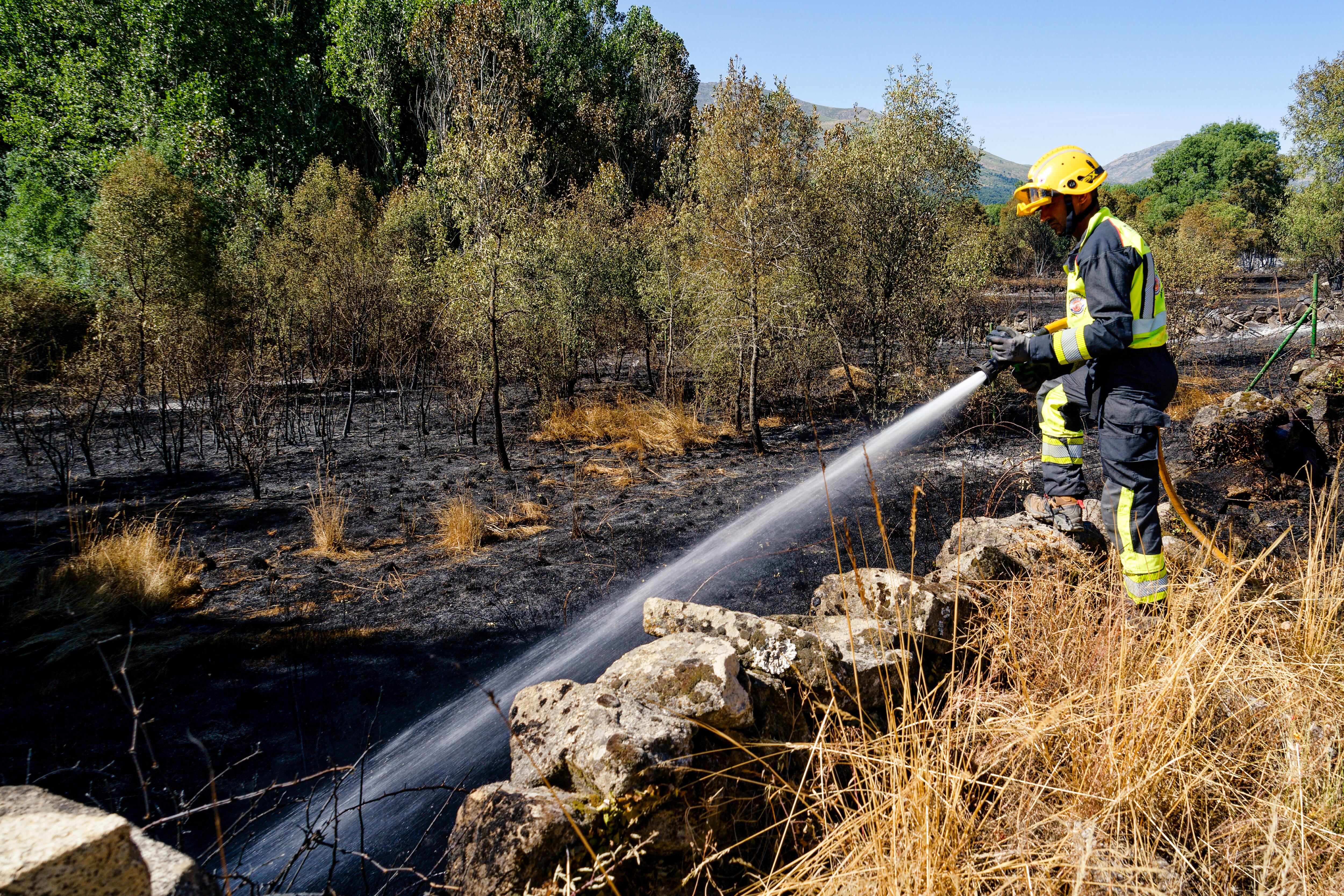 El viento agrava el incendio de Valdecaballeros (Badajoz)