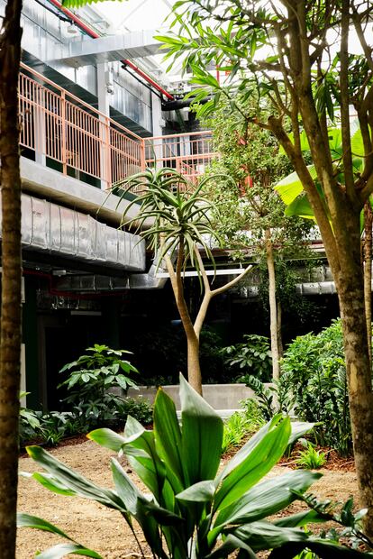 Detalles del jardín interior del Colegio Reggio.