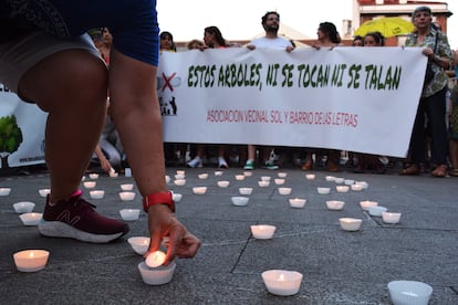 Los asistentes a la manifestación en el Barrio de las Letras prendieron velas sobre la frase “no a la tala”.