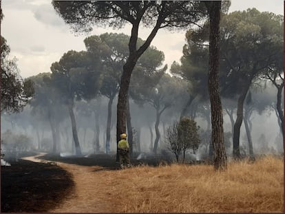 Un bombero trabaja en las tareas de extinción del incendio de El Tiemblo.