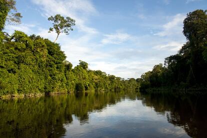 Paisaje que pinta las aguas del río Yasuní, mientras se navega hacia la laguna de Jatuncocha dentro del Parque Nacional. 