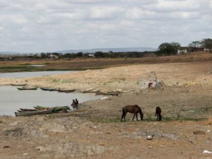 O Brasil apela à tecnologia para combater a falta de água no Nordeste