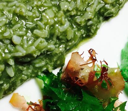 ARROZ DEL MAR DE MARÍA MARTE / CAPEL