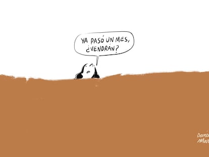 Dana, un mes después, por Daniella Martí