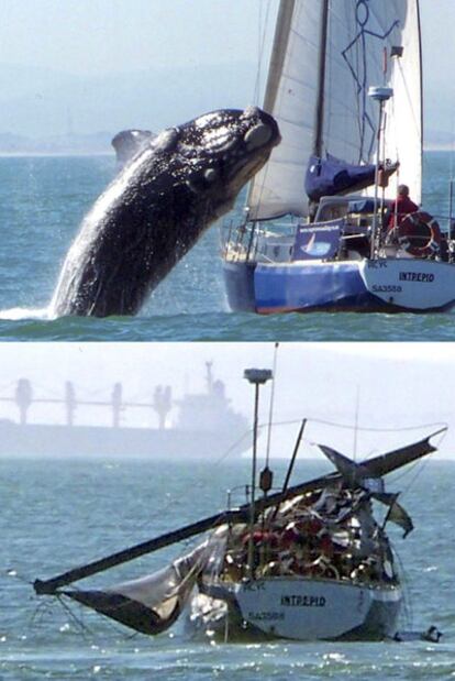 Momento en que la ballena se abalanza sobre el yate. Debajo, estado en el que quedó la embarcación.