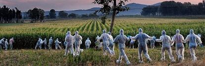 Acción ecologista contra cultivos presuntamente transgénicos en Torroella de Montgrí (Girona).