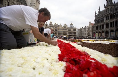Un grupo de voluntarios diseña una sección de la alfombra de flores de Bruselas en la Grand Place.
